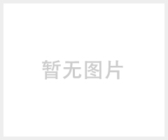 汤浅NP100-12免维护蓄电池