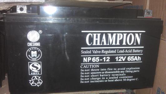 丽水冠军12V60AH铅酸蓄电池（NP60-12)